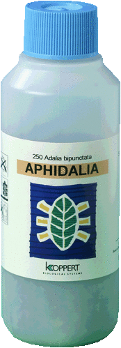 Aphidalia