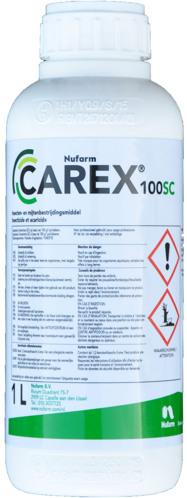 Carex