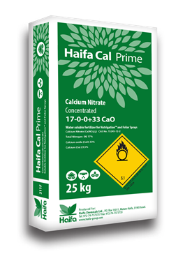 Haifa Cal prime