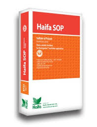 Haifa sop