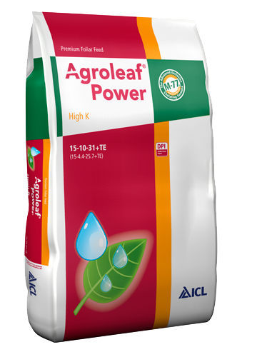 Agroleaf High K 15-10-31