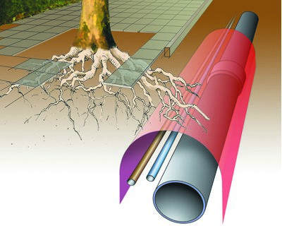 Rootcontrol - boomwortelwering