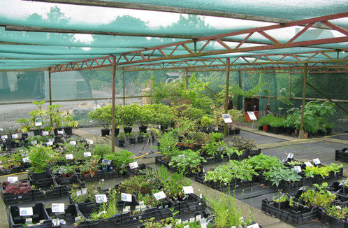 Schaduwnetten - Schaduw- en windbreeknetten - Netten - Webshop