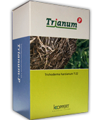 Trianum