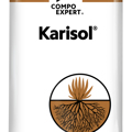 Karisol