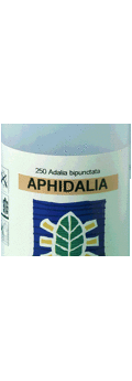 Aphidalia