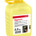 Signum