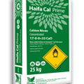 Haifa Cal prime