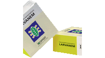 Larvanem (heterorhabditis bacteriophora (insectenparasitair aaltje))