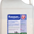 Ranman top