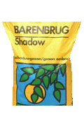 Shadow