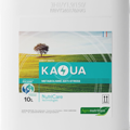 Kaoua