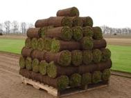 Graszoden & vegetatiematten