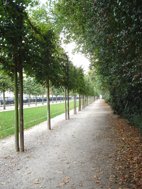 Gazon voor extensief onderhoud / bermmengsel