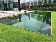 Vijver - Biopool - Zwembad
