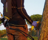 Gewasbescherming voor bomen