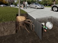 Wortelgeleidingssystemen